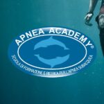 Corsi con didattica Apnea Academy
